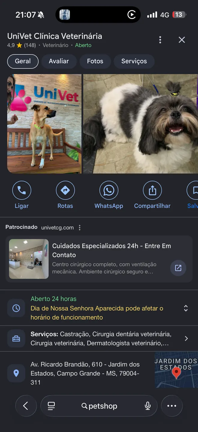 Perfil de UniVet Clínica Veterinária no Google Maps